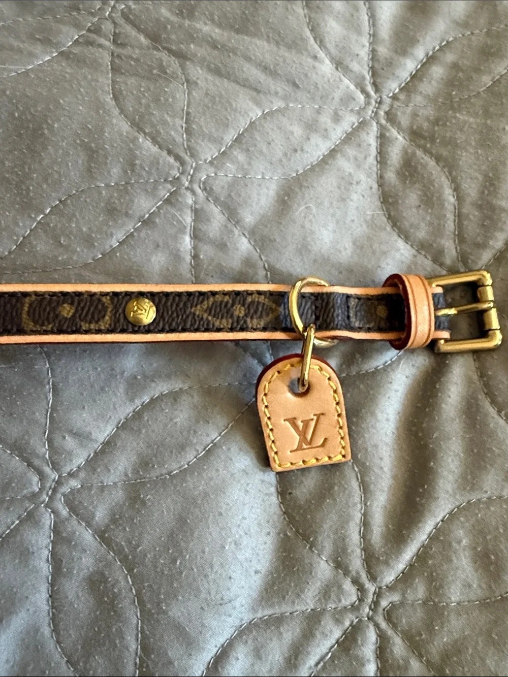 Louis Vuitton Barter Dog collar